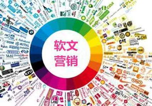 新品牌網絡推廣實戰指南 借助專業互聯網技術服務，高效突圍